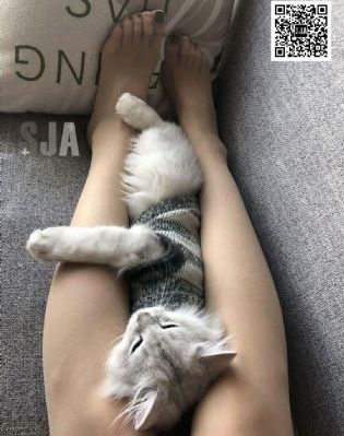 《轮回》在线观看完整版高清_DVD高清视频播放