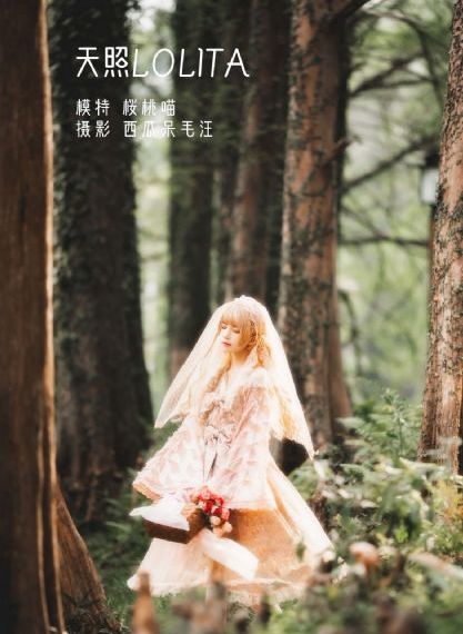 青城缘电视剧全集免费观看_剧情片免费全集观看