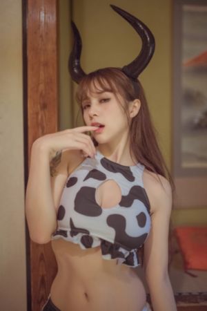 免费vip电视剧网站_DVD在线视频播放